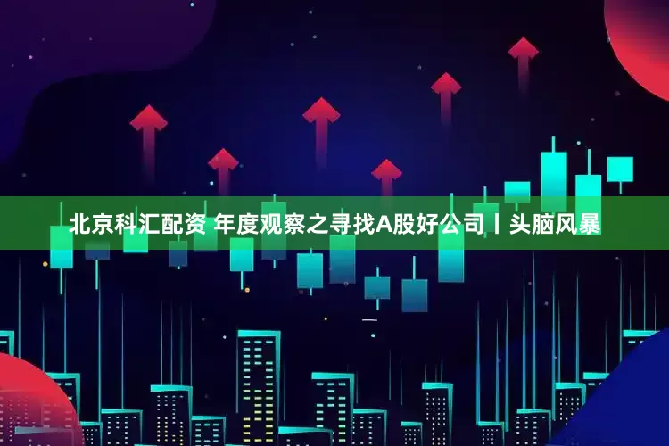 北京科汇配资 年度观察之寻找A股好公司丨头脑风暴