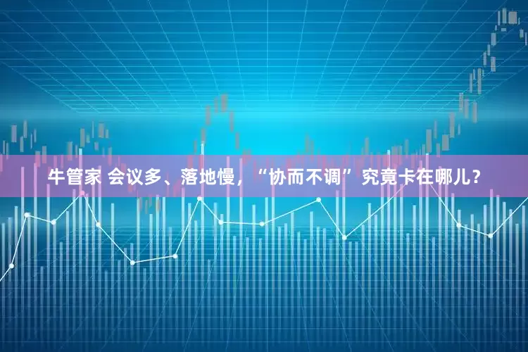 牛管家 会议多、落地慢，“协而不调” 究竟卡在哪儿？